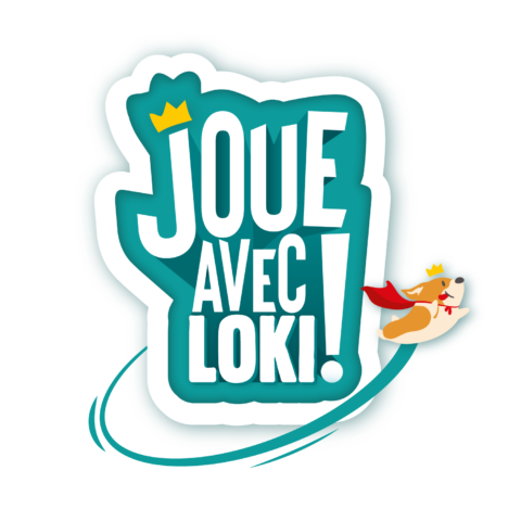 Jeu d'ambiance - LOKI - HOP HOP JOEY - À partir de 8 ans - Mixte - 3
